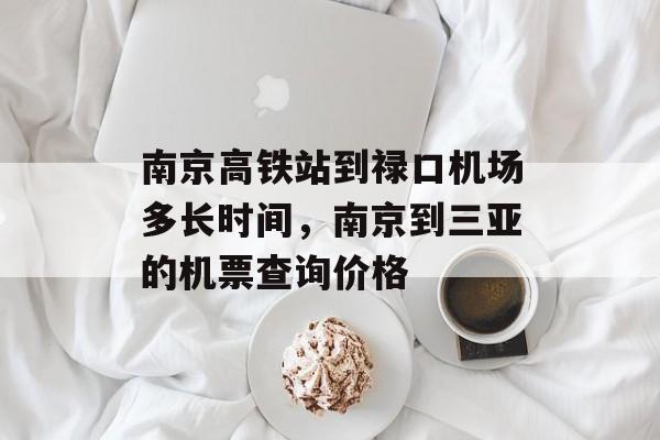 南京高铁站到禄口机场多长时间，南京到三亚的机票查询价格-第1张图片-