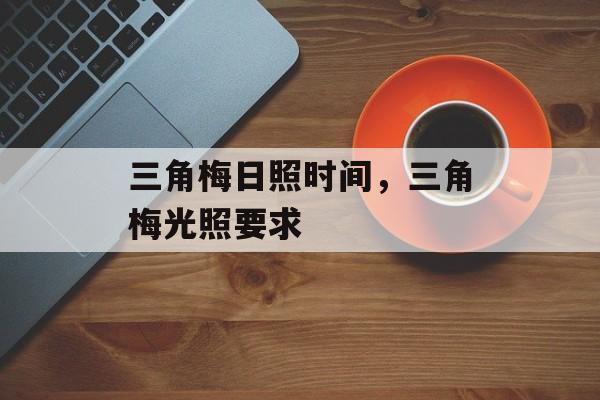 三角梅日照时间，三角梅光照要求-第1张图片-