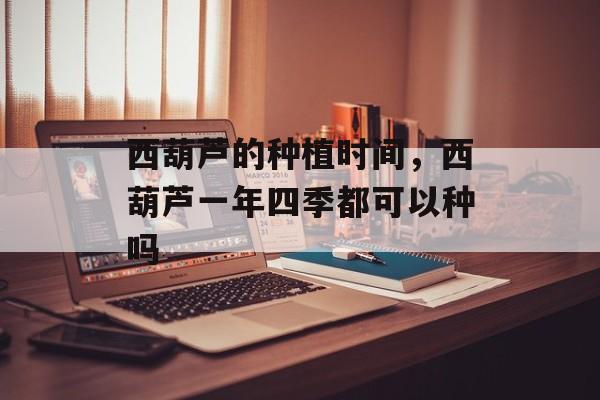 西葫芦的种植时间，西葫芦一年四季都可以种吗-第1张图片-