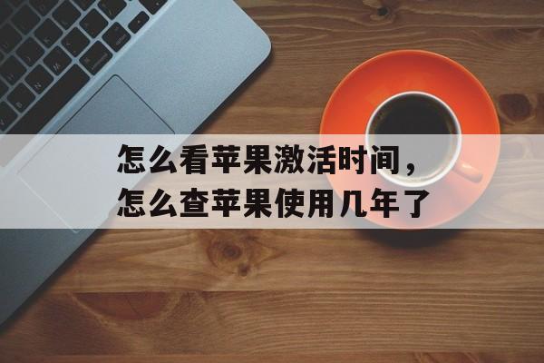 怎么看苹果激活时间，怎么查苹果使用几年了-第1张图片-