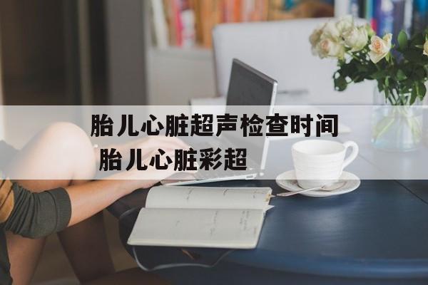 胎儿心脏超声检查时间 胎儿心脏彩超-第1张图片-