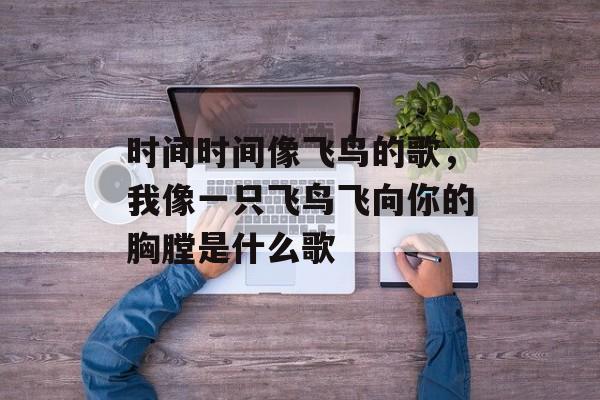 时间时间像飞鸟的歌，我像一只飞鸟飞向你的胸膛是什么歌-第1张图片-