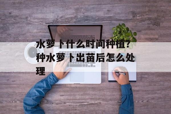 水萝卜什么时间种植？种水萝卜出苗后怎么处理-第1张图片-