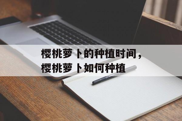 樱桃萝卜的种植时间，樱桃萝卜如何种植-第1张图片-