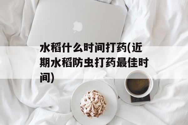 水稻什么时间打药(近期水稻防虫打药最佳时间)-第1张图片-