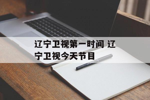 辽宁卫视第一时间 辽宁卫视今天节目-第1张图片-