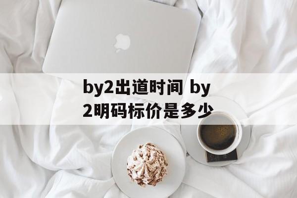 by2出道时间 by2明码标价是多少-第1张图片-