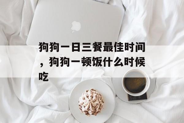 狗狗一日三餐最佳时间，狗狗一顿饭什么时候吃-第1张图片-