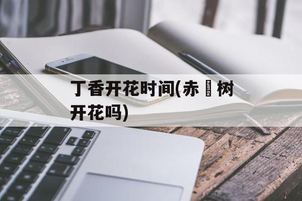 丁香开花时间(赤揇树开花吗)-第1张图片-