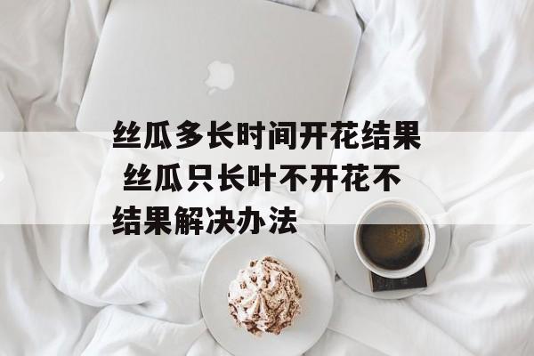 丝瓜多长时间开花结果 丝瓜只长叶不开花不结果解决办法-第1张图片-