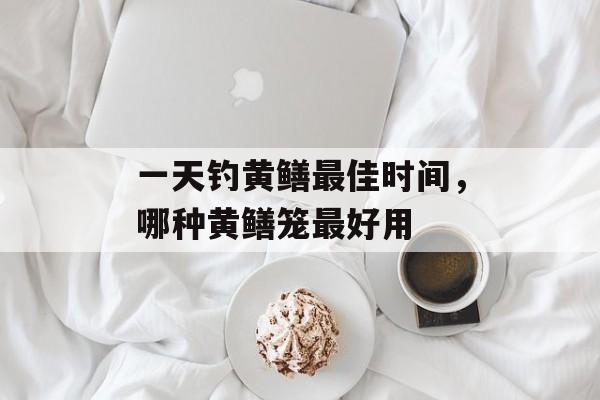 一天钓黄鳝最佳时间，哪种黄鳝笼最好用-第1张图片-