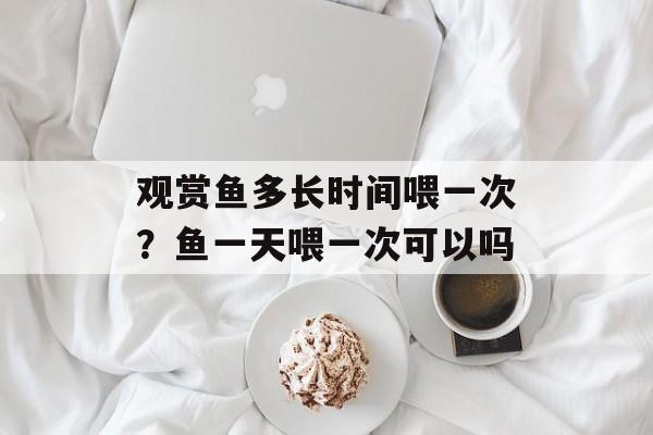 观赏鱼多长时间喂一次？鱼一天喂一次可以吗-第1张图片-