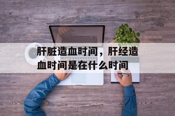 肝脏造血时间，肝经造血时间是在什么时间-第1张图片-