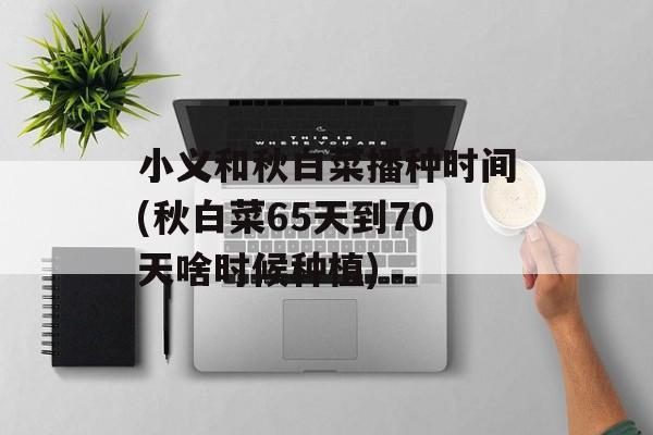 小义和秋白菜播种时间(秋白菜65天到70天啥时候种植)-第1张图片-