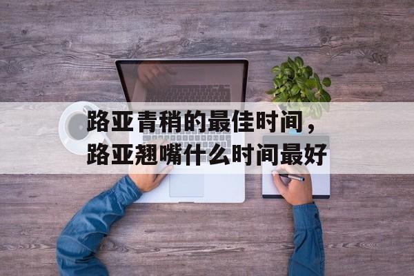 路亚青稍的最佳时间，路亚翘嘴什么时间最好-第1张图片-