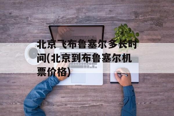 北京飞布鲁塞尔多长时间(北京到布鲁塞尔机票价格)-第1张图片-