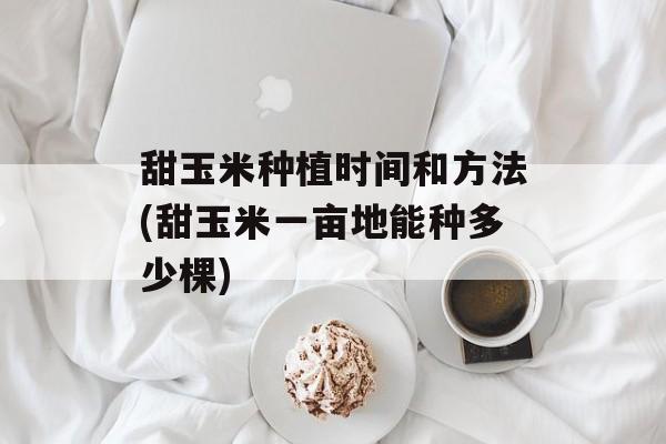 甜玉米种植时间和方法(甜玉米一亩地能种多少棵)-第1张图片-