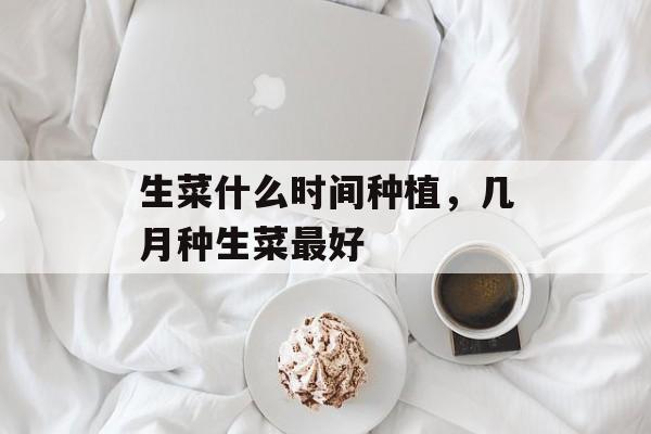 生菜什么时间种植，几月种生菜最好-第1张图片-