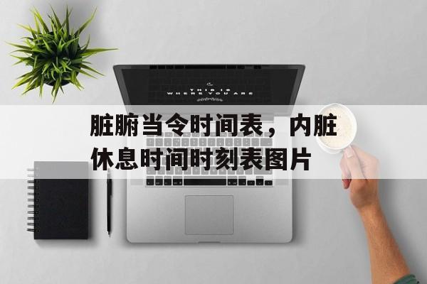 脏腑当令时间表，内脏休息时间时刻表图片-第1张图片-