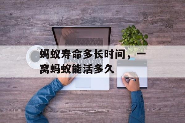 蚂蚁寿命多长时间，一窝蚂蚁能活多久-第1张图片-