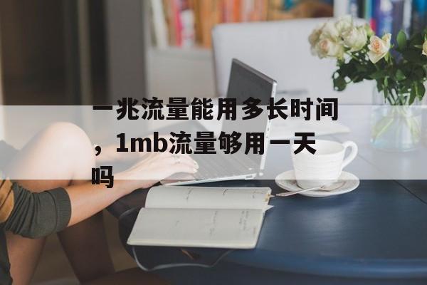 一兆流量能用多长时间，1mb流量够用一天吗-第1张图片-