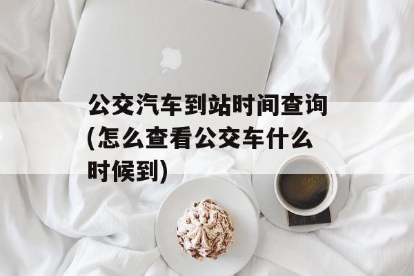 公交汽车到站时间查询(怎么查看公交车什么时候到)-第1张图片-