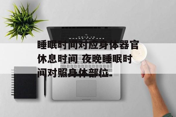 睡眠时间对应身体器官休息时间 夜晚睡眠时间对照身体部位-第1张图片-