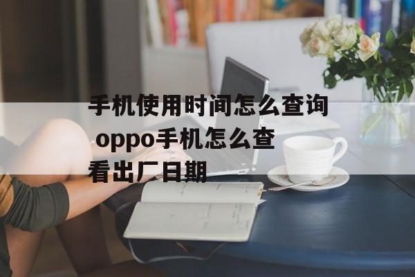 手机使用时间怎么查询 oppo手机怎么查看出厂日期-第1张图片-