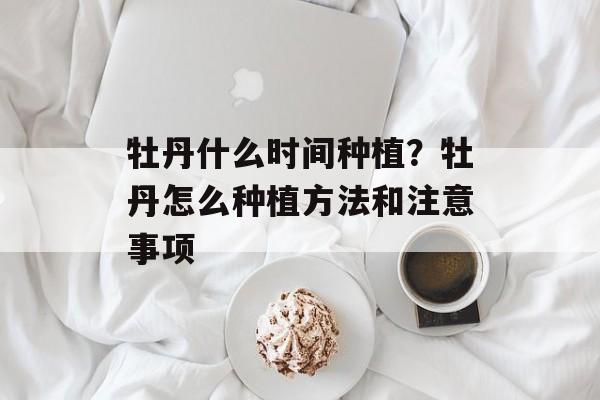 牡丹什么时间种植？牡丹怎么种植方法和注意事项-第1张图片-