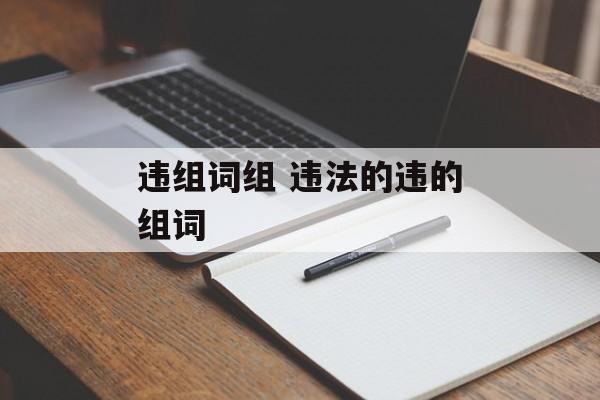 违组词组 违法的违的组词-第1张图片-